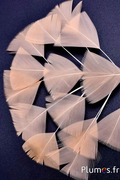 Blütenblätter aus Federn - 6-8 cm x 3-4 cm - lachs